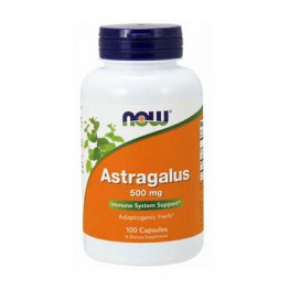 ASTRAGALUS 500MG 100CAPS - NOW - Produtos Naturais - Saúde & Beleza - 00339 - Tanquinho Suplementos
